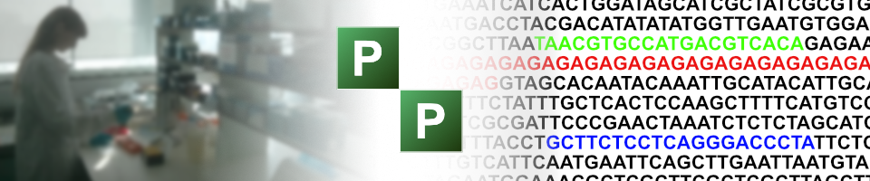 PrimerPipeline
